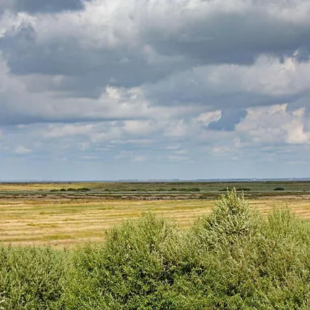 Duenenloft Auf Sylt Lejlighed *